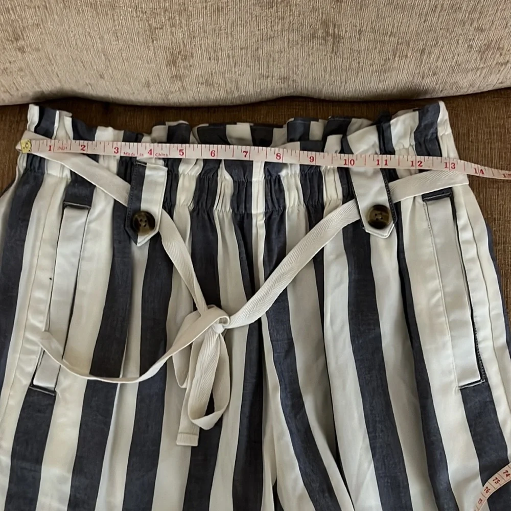 American Eagle Striped Shorts